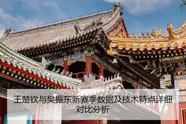 王楚钦与樊振东新赛季数据及技术特点详细对比分析